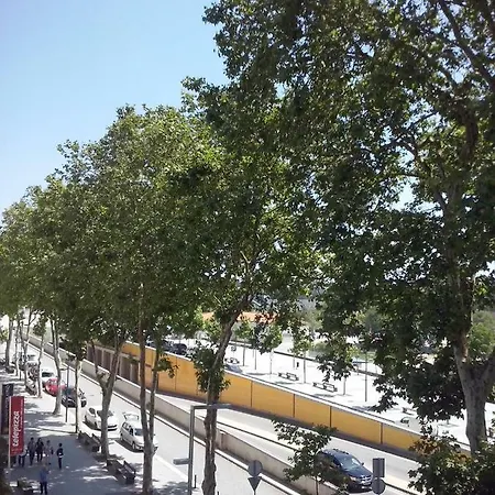Nas Palhas Deitado *
