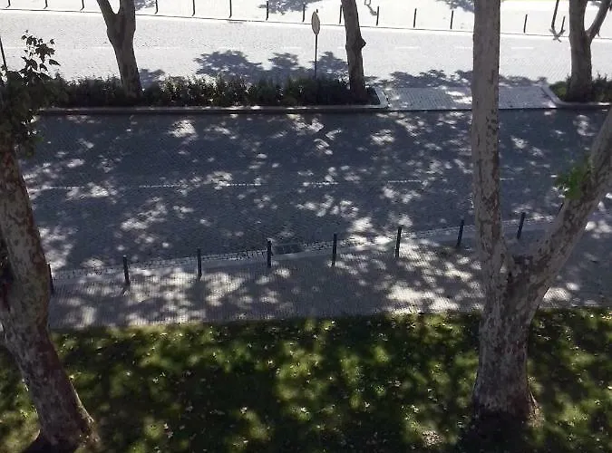 Nas Palhas Deitado ゲストハウス